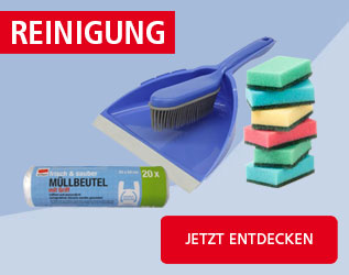 Reinigung