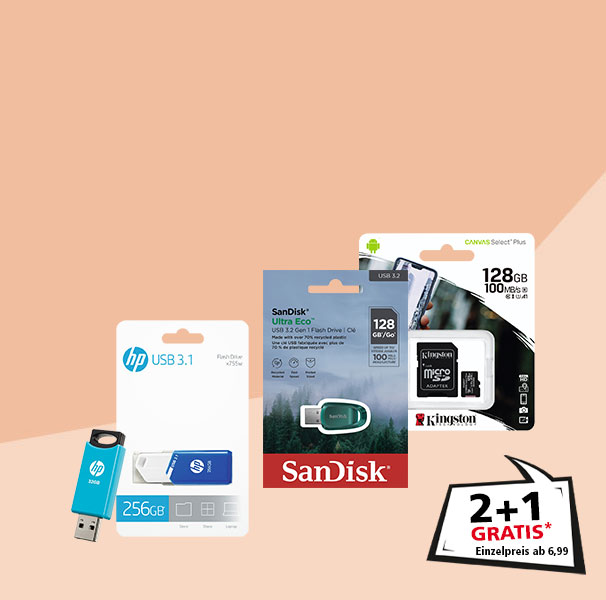 2+1 gratis auf USB-Sticks & MicroSD-Karten